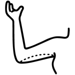 Brachioplasty Arm Lift surgical procedure icon